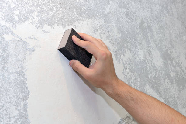 Best Emergency Mold Remediation  in Mirrormont, WA