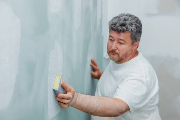 Best Post-Construction Mold Inspection  in Mirrormont, WA